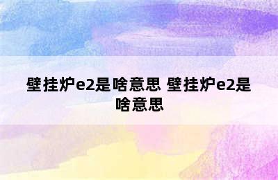 壁挂炉e2是啥意思 壁挂炉e2是啥意思